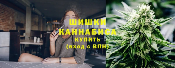 соль ск Гусь-Хрустальный