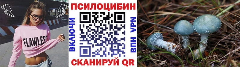 Галлюциногенные грибы мицелий  Октябрьский 